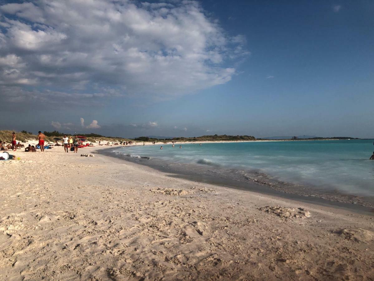 Casa In Campagna A Due Passi Dal Mare Пиза Екстериор снимка